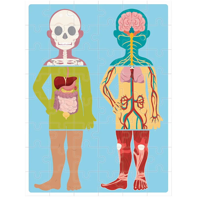 BOX de Aprendizagem - Grandes Ideias: Genial Corpo Humano - Happy Books