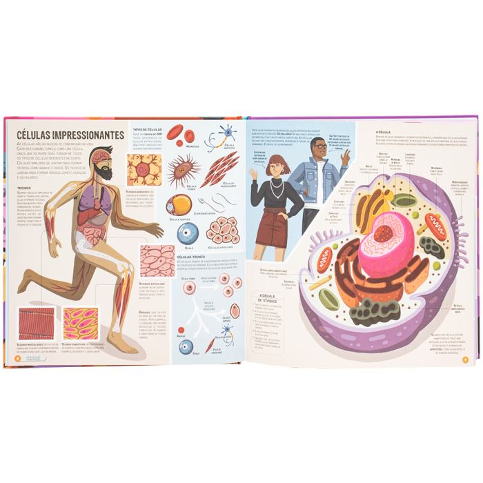 Livro Meu Incrível Atlas: Corpo Humano - Happy Books