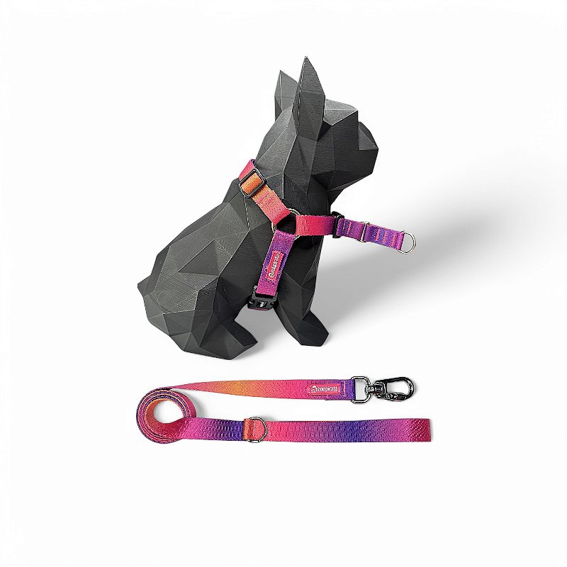 Kit Peitoral Y Antipuxão para cachorros com Guia Sunset