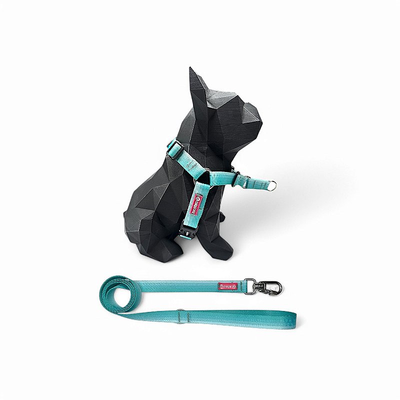 Kit Peitoral Y Antipuxão para cachorros com Guia Maldivas