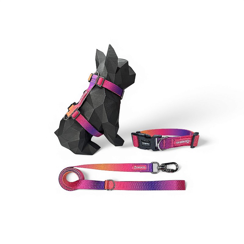 Kit Peitoral H antipuxão para cachorros com Coleira e Guia Sunset