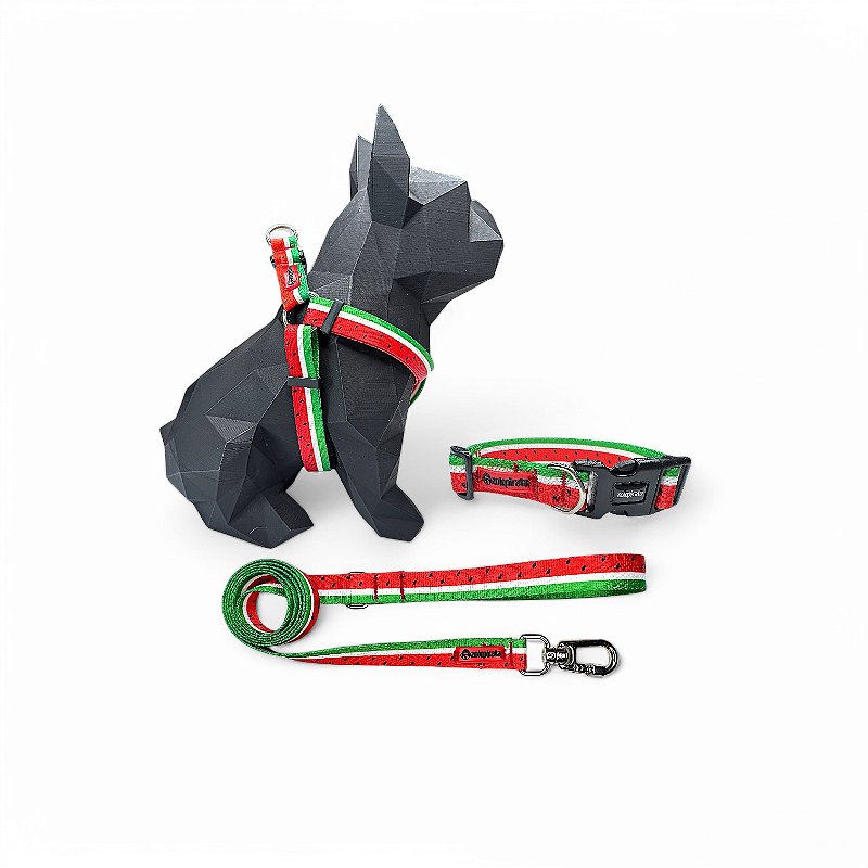 Kit Peitoral Americano para cachorros com Coleira e Guia Melancia