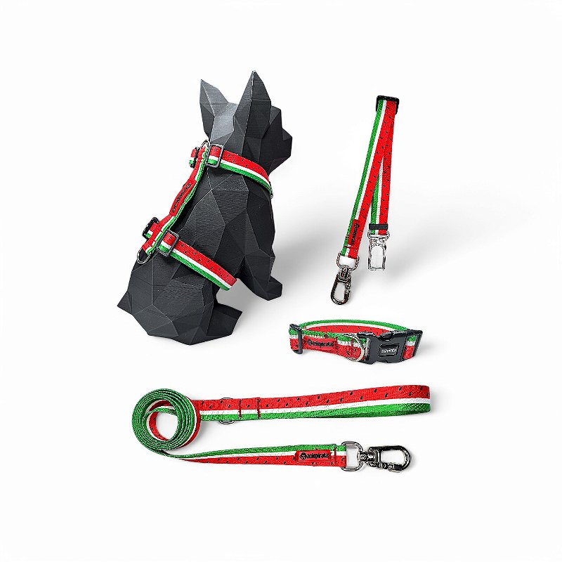 Kit 4 peças Passeio completo para cachorros Melancia