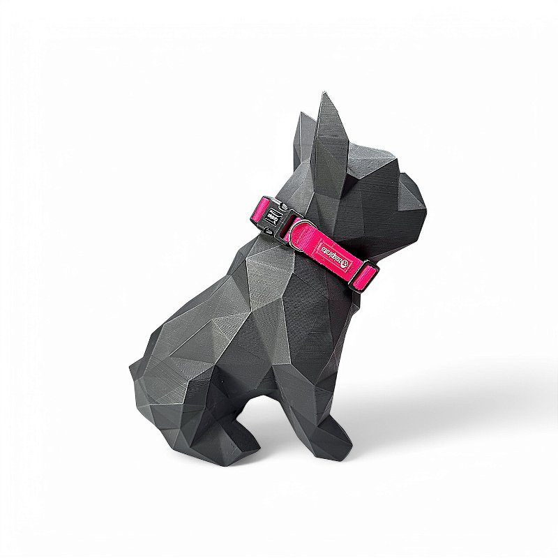 Coleira para cachorros Neon Rosa