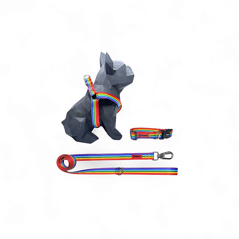 Kit Peitoral Americano para cachorros com Coleira e Guia Arco-íris