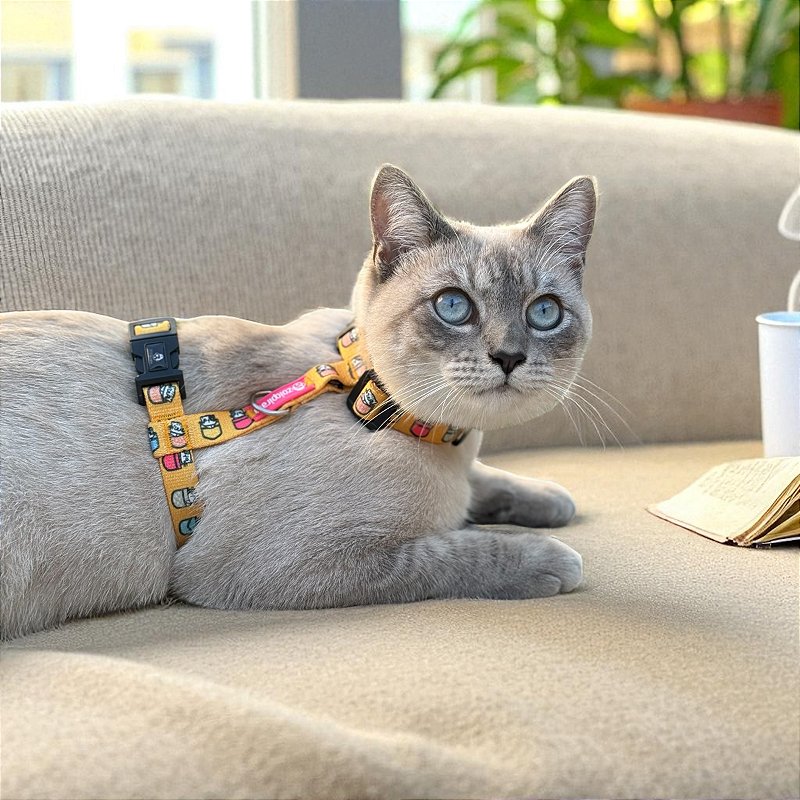 Peitoral para Gatos com Guia Ronromelo