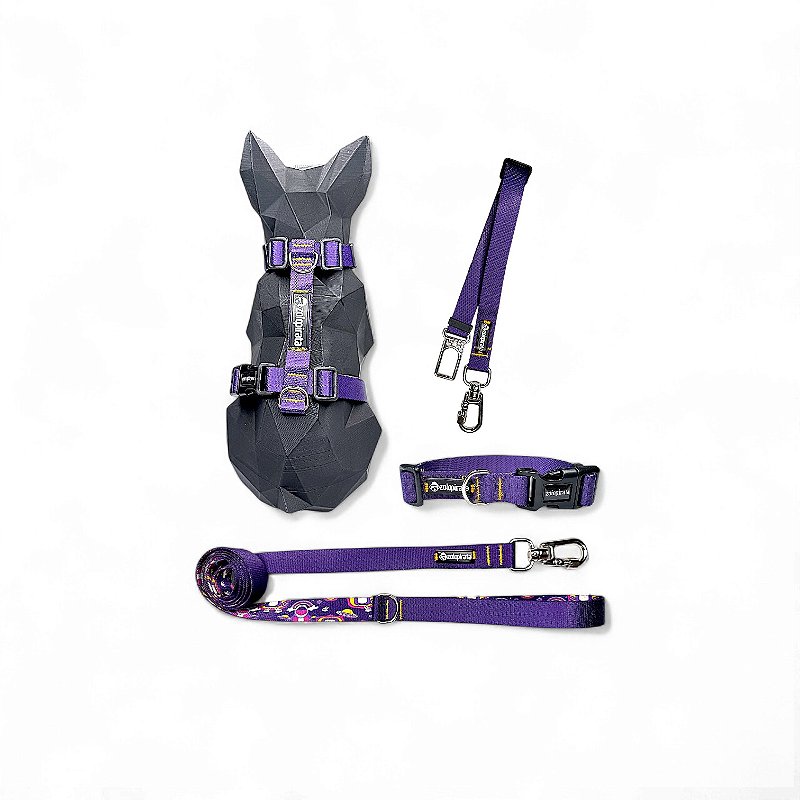 Kit 4 peças Passeio completo para cachorros Roxo