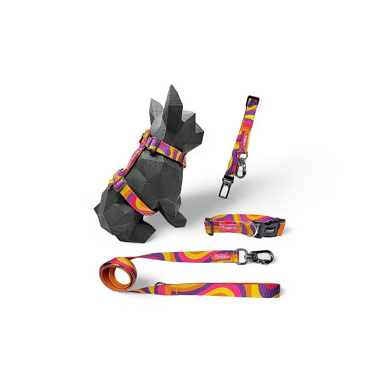 Kit 4 peças Passeio completo para cachorros Wave
