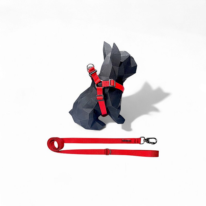 Kit Peitoral Americano para cachorros com Guia Vermelho