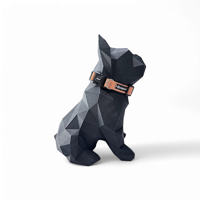 Coleira para cachorros Terracota