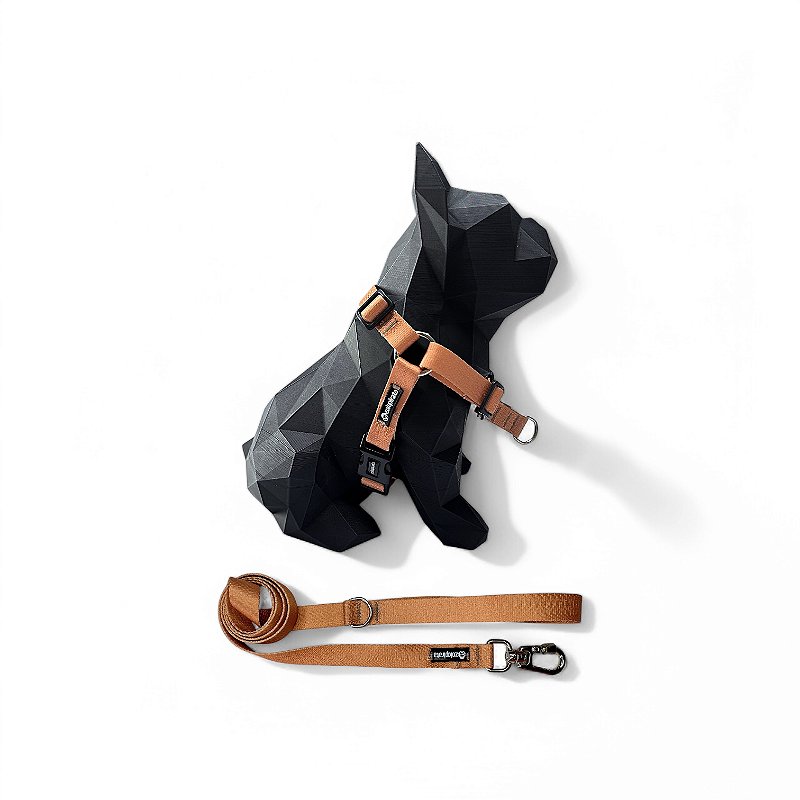 Kit Peitoral Y Antipuxão para cachorros com Guia Terracota