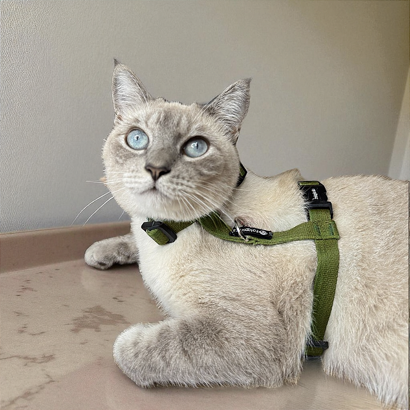 Peitoral para Gatos com Guia Verde Militar