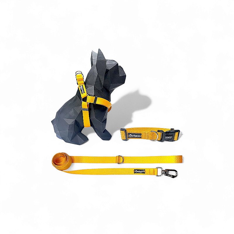 Kit Peitoral Americano para cachorros com Coleira e Guia Amarelo