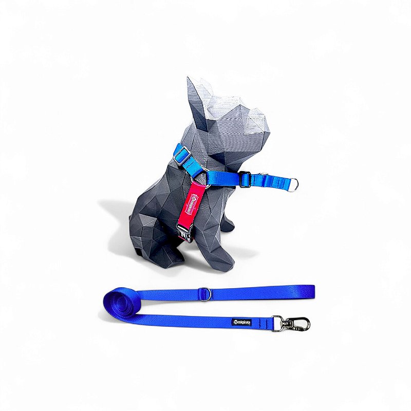 Kit Peitoral Y Antipuxão para cachorros com Guia Tutti