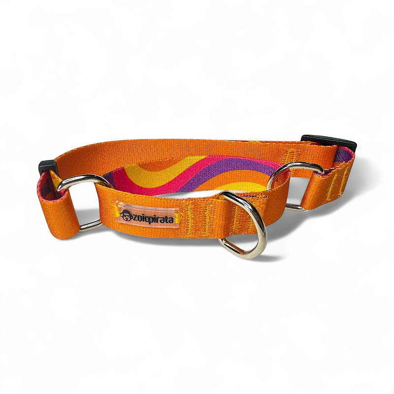 Coleira Martingale Antifuga para cachorros Gold