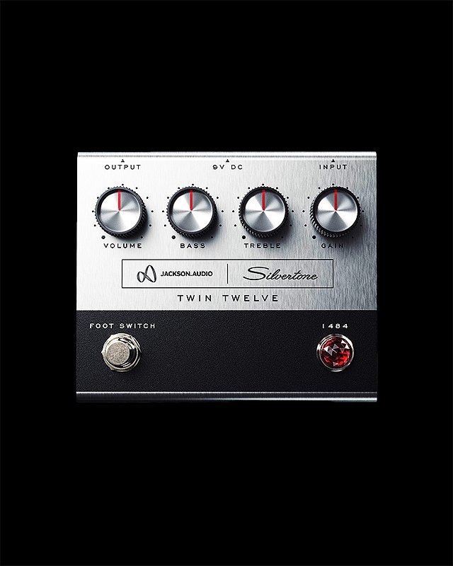 ギター JACKSON AUDIO Silvertone Twin Twelve jackson-audio-silvertone-