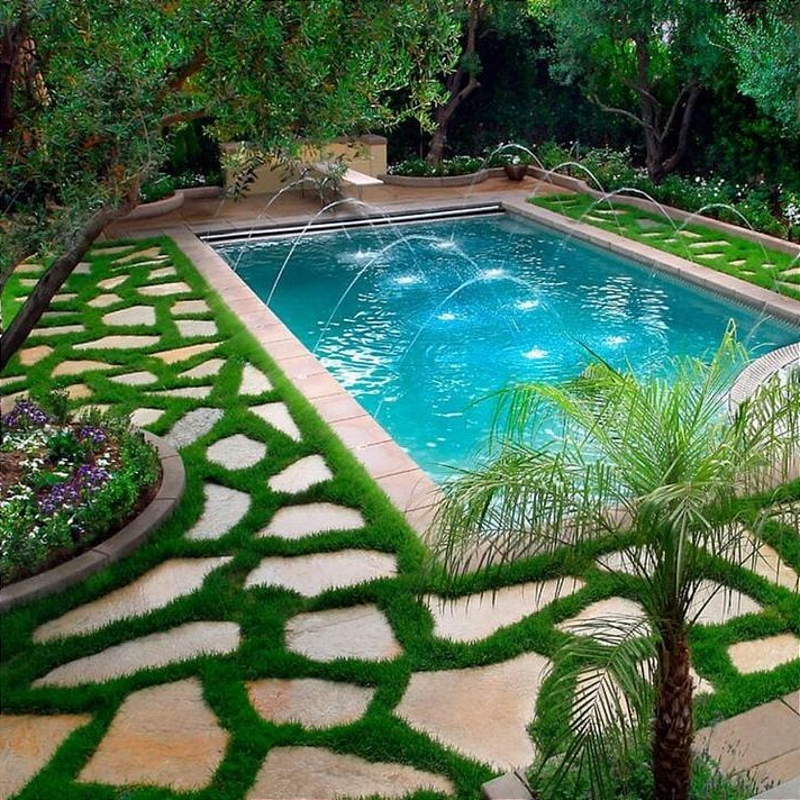 Cacão para jardim tipo exportação mesclado m²