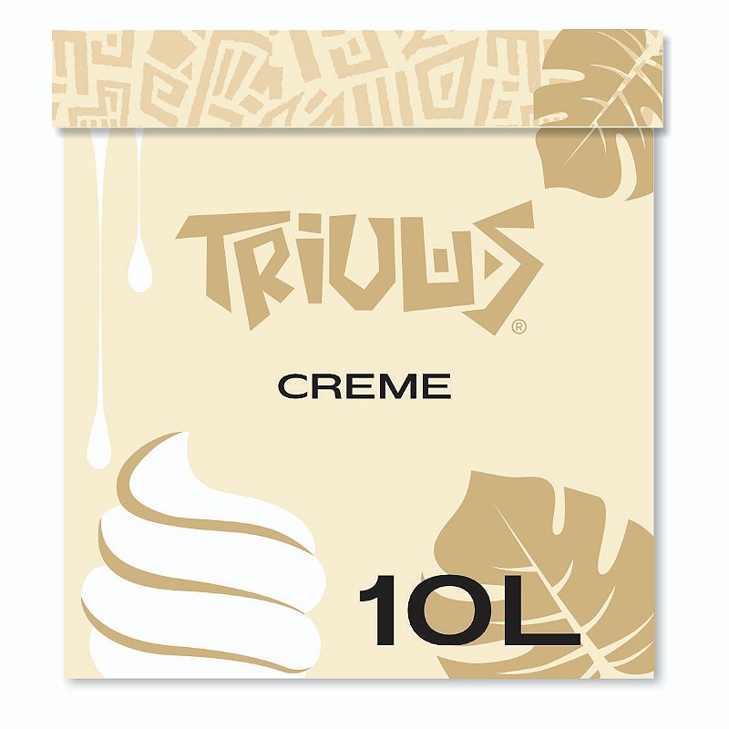 SORVETE CREME - CAIXA 10L/6,2K