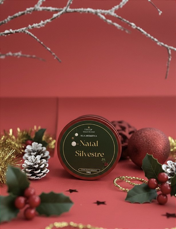 Vela aromática Natal silvestre 120g