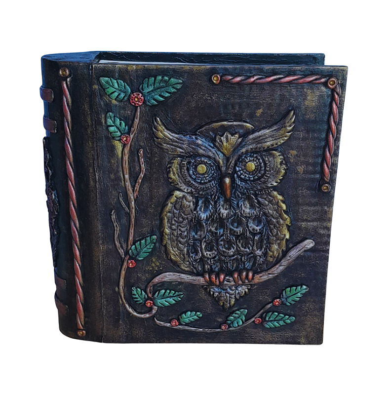 Caixa Livro Corujinha