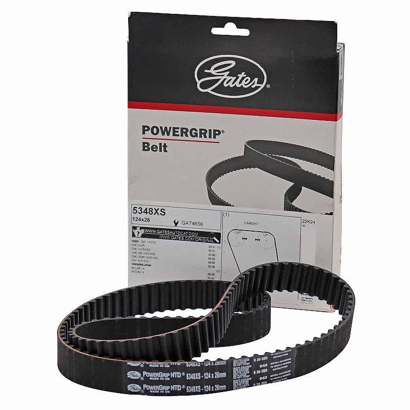 亀 26297012289a05a7470.jpg