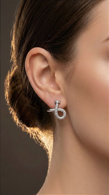 Brinco Insp Cartier Prego Zircônia Prata