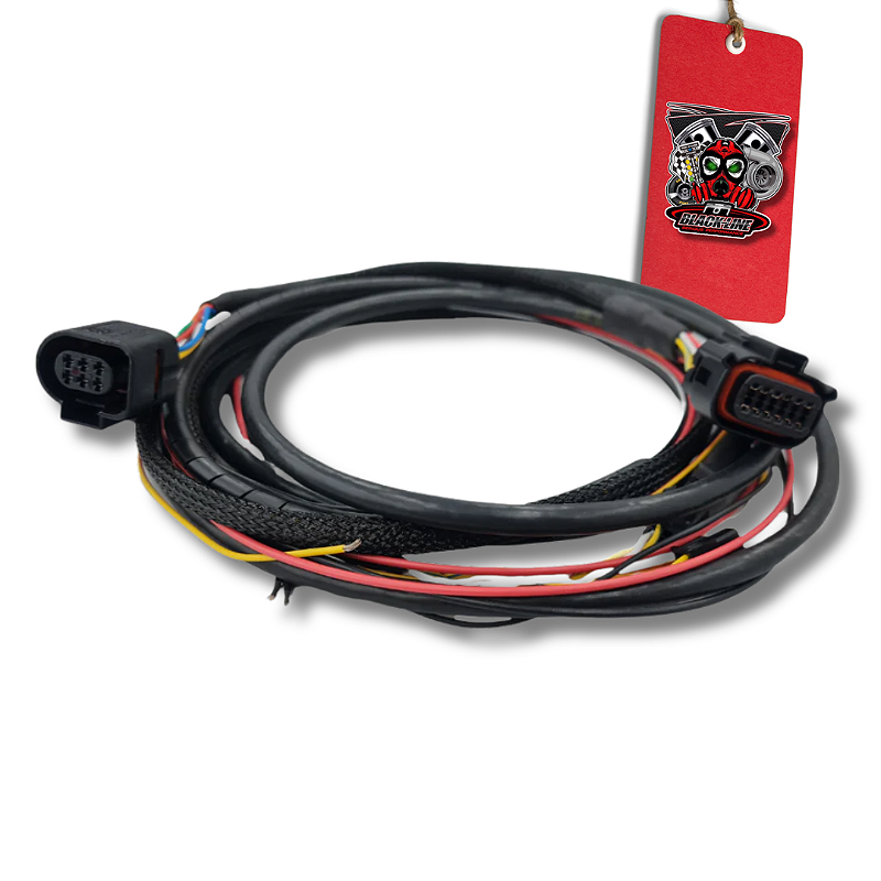なみなみ2 CHICOTE WIDE BAND O2 NANO 2M SONDA 4.9 - FUELTECH - BlackLine