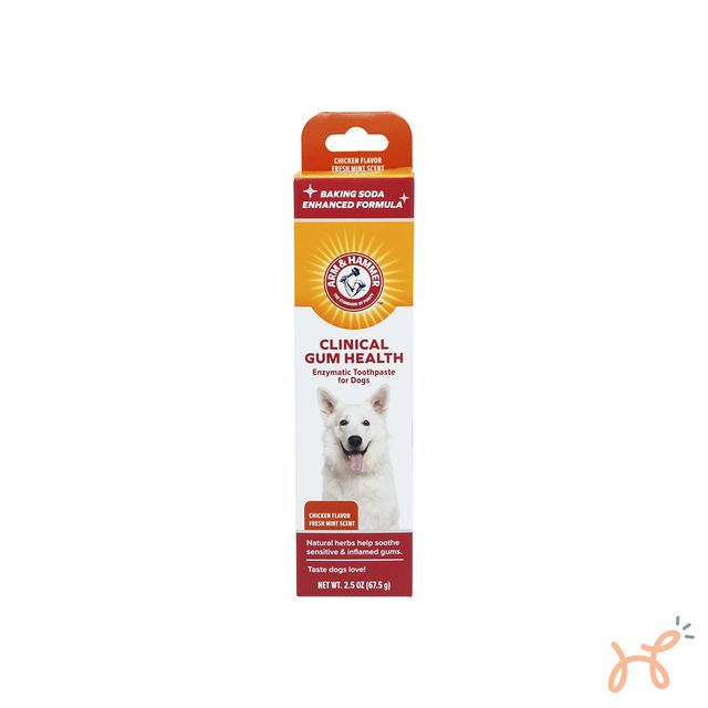 Pasta de Dentes Enzimática para Cães Gengivas Saudáveis Gum Health Sabor Frango - Arm & Hammer