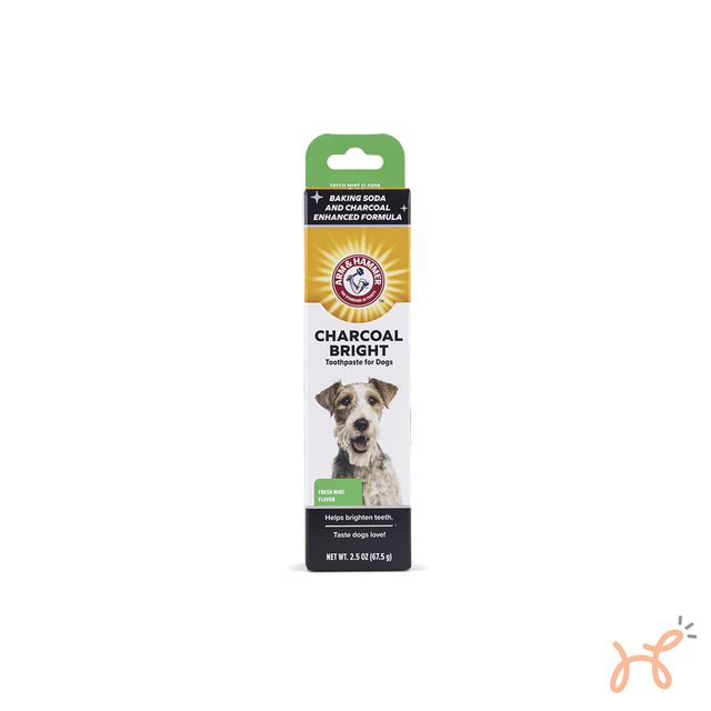 Pasta de Dentes Enzimática para Cães Clareadora Charcoal Bright Sabor Menta - Arm & Hammer
