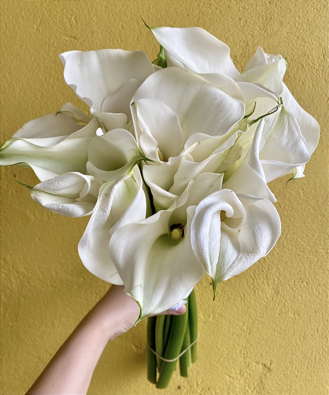 Buquê de Copo de leite. - Floricultura Venda Nova