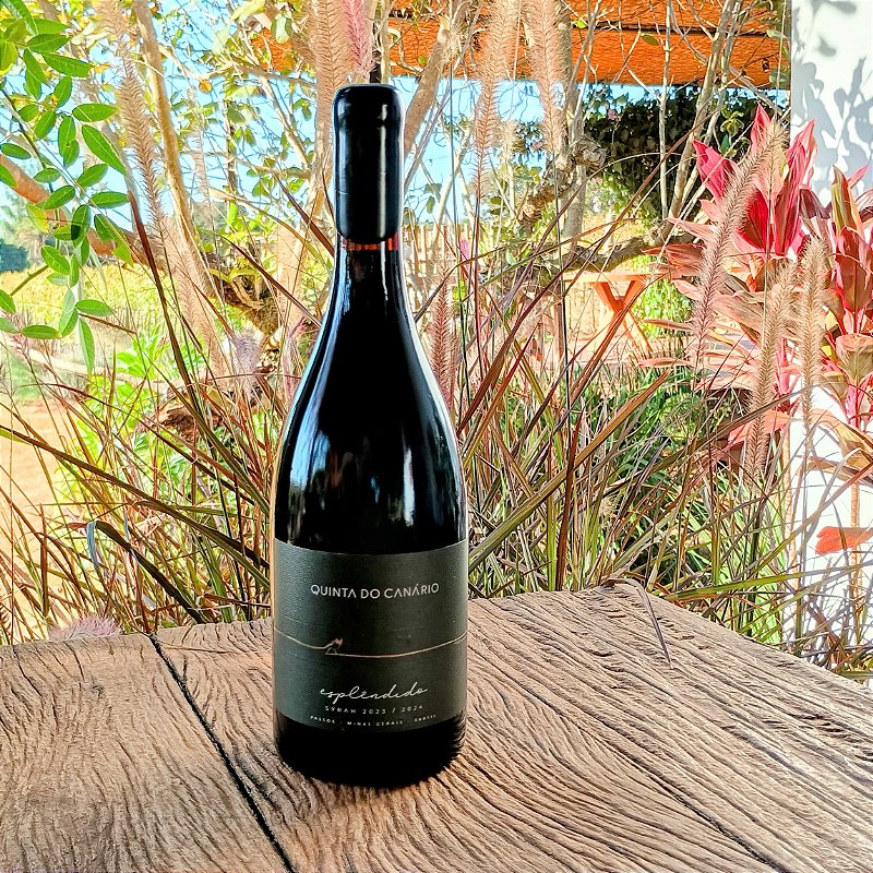 ESPLÊNDIDO 2023/2024