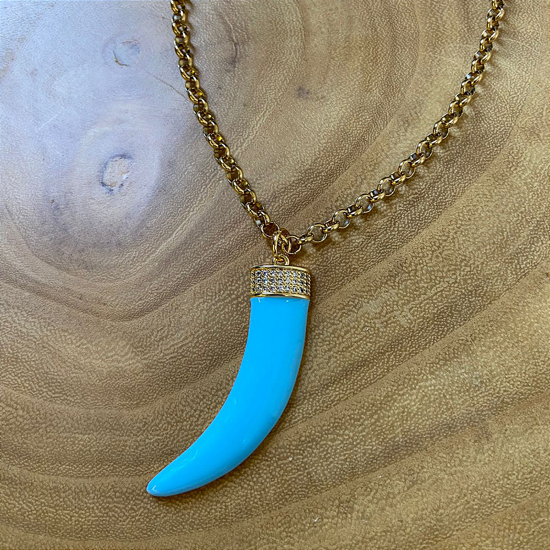 Colar Longo Dente Turquesa