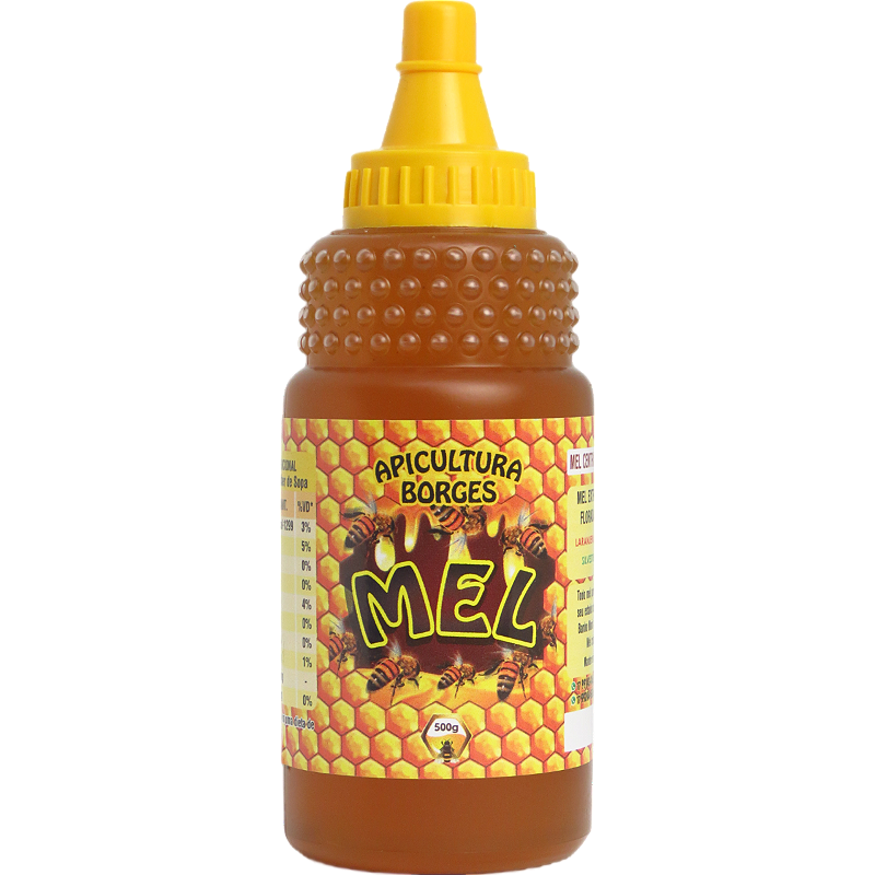 Mel Puro de Abelha 500g Florada Laranjeira | 100% Natural
