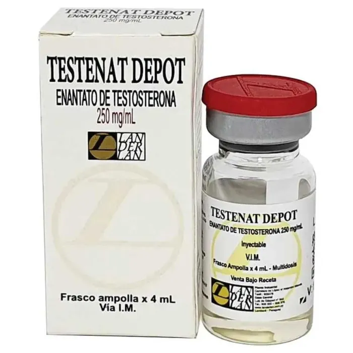 ENANTATO DE TESTOSTERONA LANDERLAN 250MG 4ML - Testenat Depot