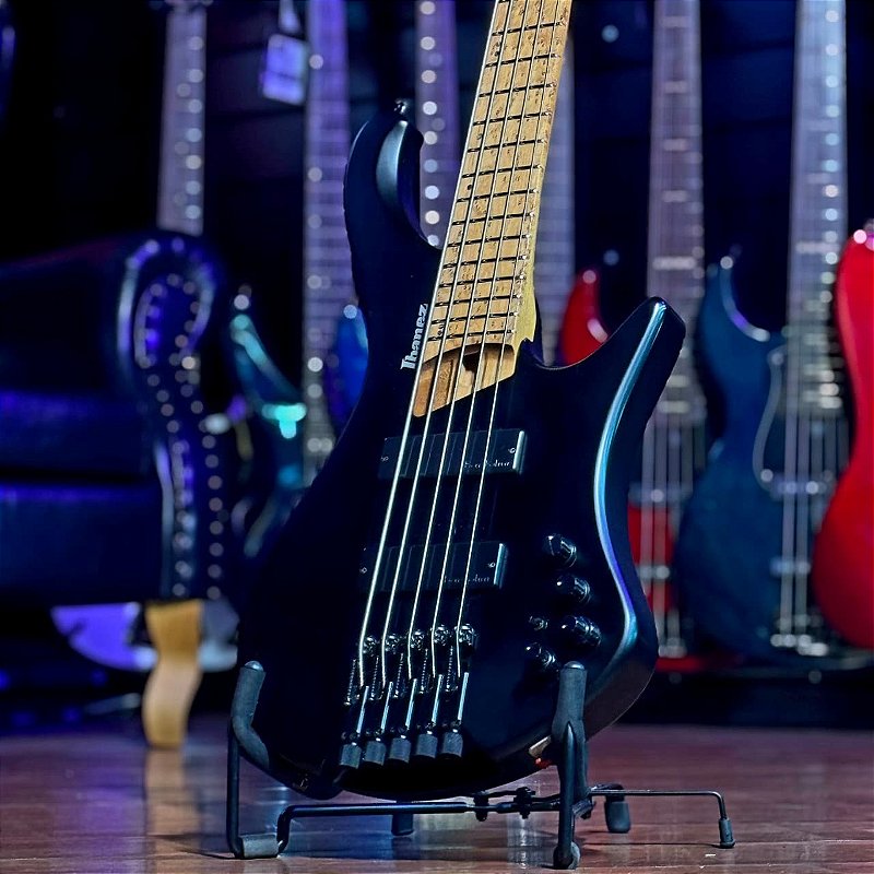 Baixo 5 Cordas Ativo Ibanez EHB Workshop EHB1005 Black Flat