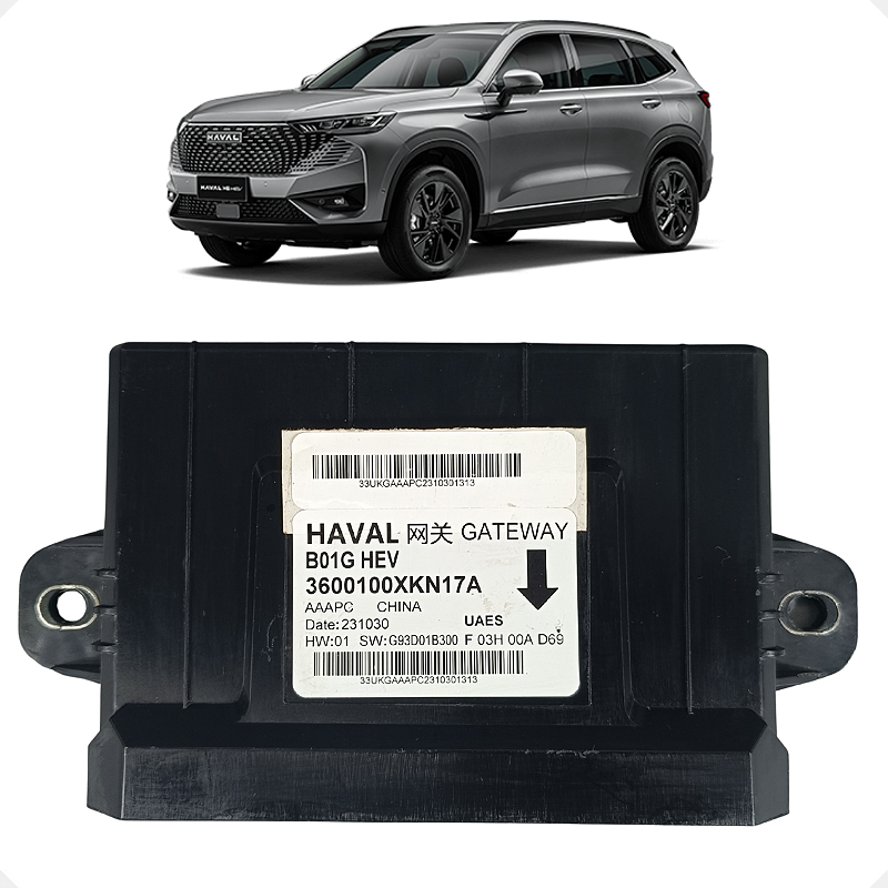 Módulo Central Gateway GWM Haval H6 1.5 Turbo 2023 2024