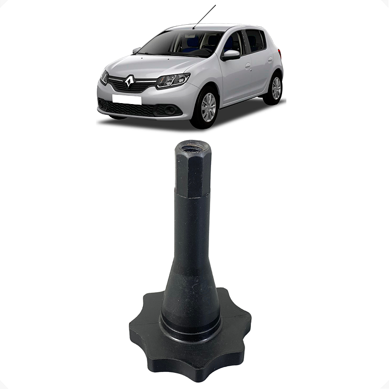 Parafuso Fixação Estepe Original Renault Sandero 2016