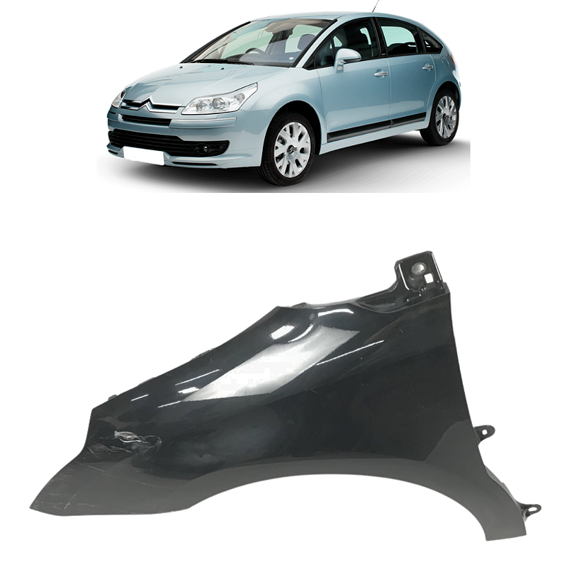 Paralama Esquerdo Citroën C4 Exclusive 2.0 2009 2010 2011