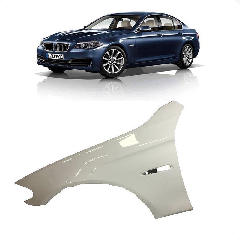 Paralama Esquerdo BMW Serie 5 528I 2.0 Turbo 2012 2013