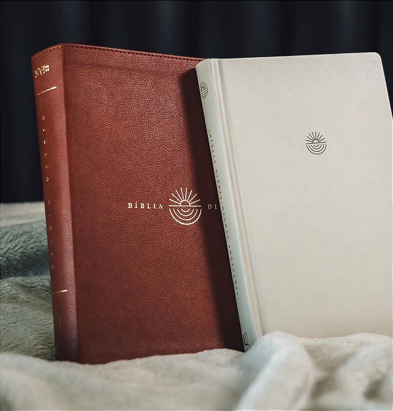 Bíblia Diária NVI - Leitura Perfeita Com Bloco Para Anotações - Capa Luxo Marrom