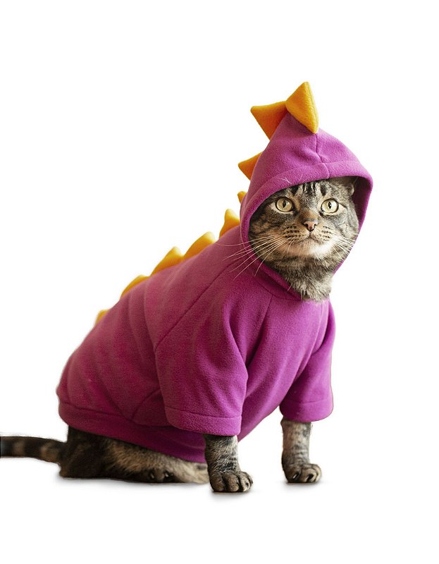 Roupa para gato: fantasia de dinossauro roxa - Cansei de Ser Gato