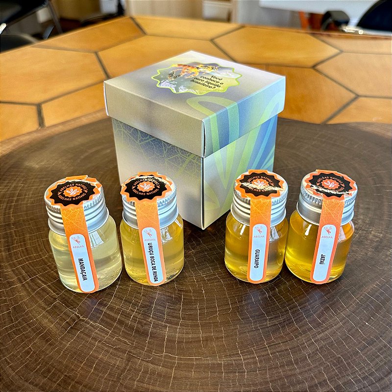 Caixa Folder Experiência 4 meles Nativos - MBee - Mel de Terroir.