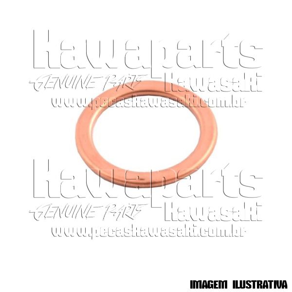 ANEL COLETOR DE ESCAPE NINJA 300 / Z300 / VERSYS-X 300 - 11061