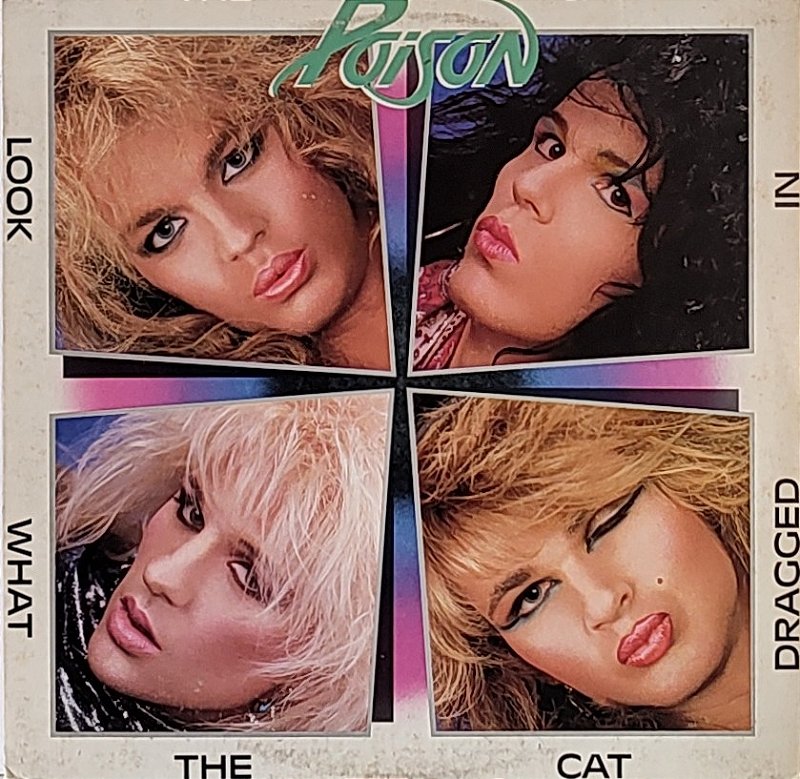 POISON/LookWhatTheCatDraggedIn スコア　ポイズン img_20240502_114855384_burst00