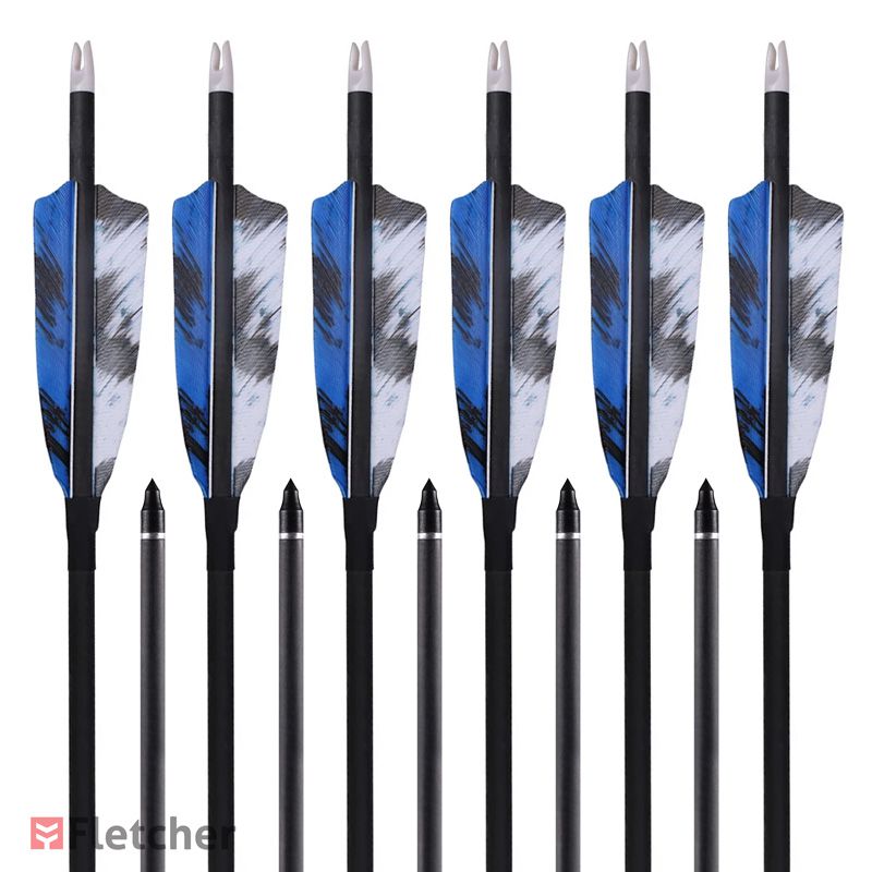COLORFUL EAGLE Flechas De Caza De 283031 Pulgadas Con Puntas Extraíbles