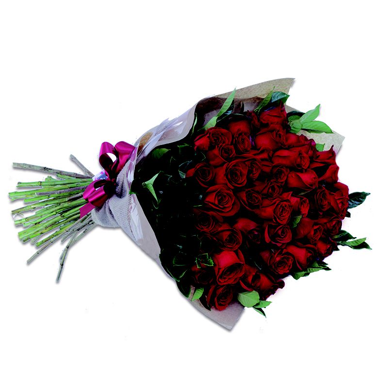 Buque 24 Rosas Colombianas FQ - Entrega de flores em até 3 horas ou entrega  GRÁTIS - Floricultura na Paulista