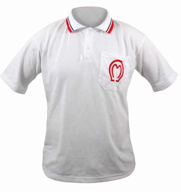 camisa manga larga polo