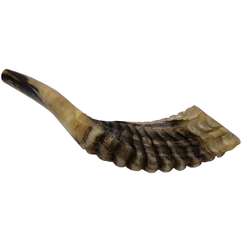 Shofar Rústico feito de chifre de carneiro importado de Israel Casa