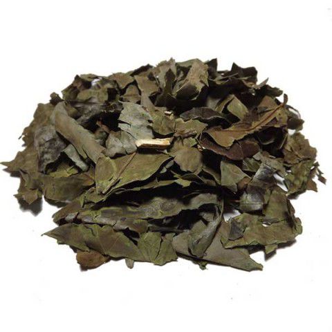 Chá Verde Folhas - 100 g - Santo Verde