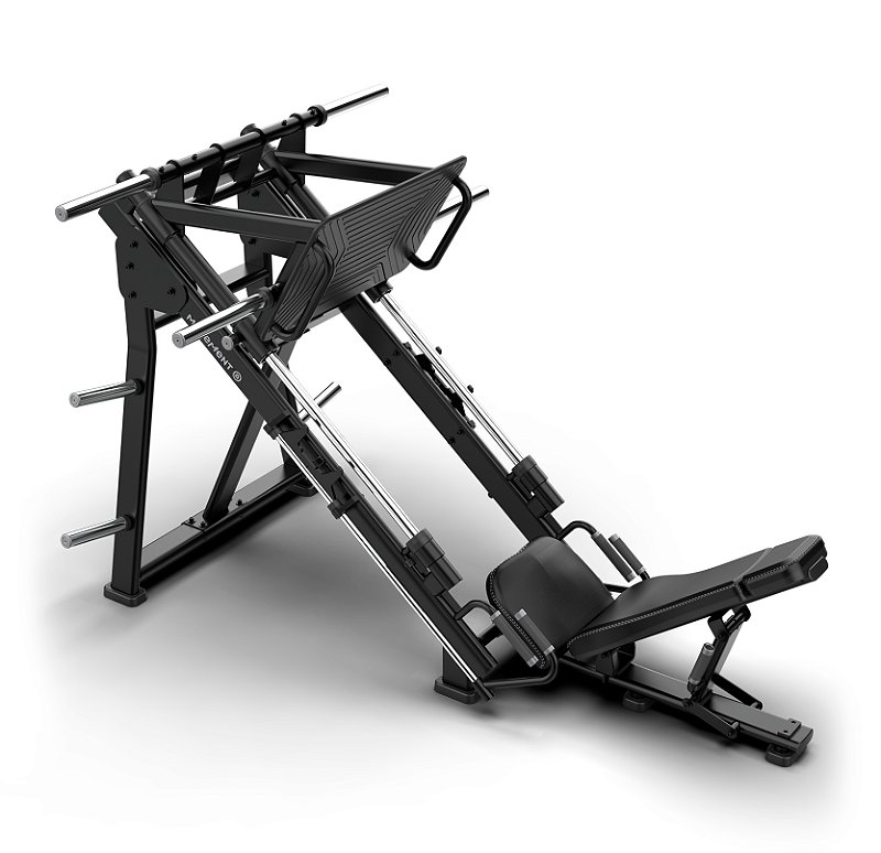 Next Leg Press 45º  Movement